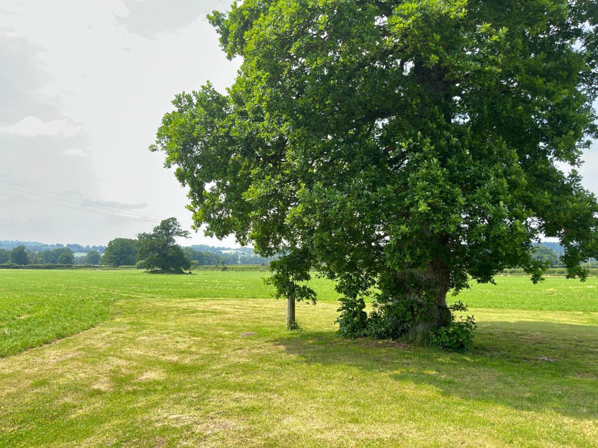 Pass The Keys Hare Cottage Wonderful Views And Parking Moreton-in-Marsh Exteriör bild